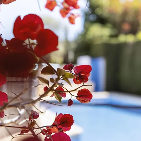 Casa Mitra Вилла Хавеа